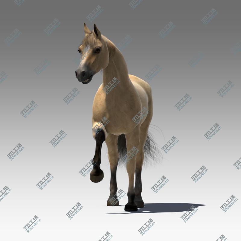 images/goods_img/20210113/Rigged and Animated Horse/2.jpg